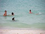Galapagos 3-2-06 Espanola Gardner Bay Swimming With the Sea Lions The boys went for a swim at Gardner Bay, and didnt even notice a fellow swimmer.